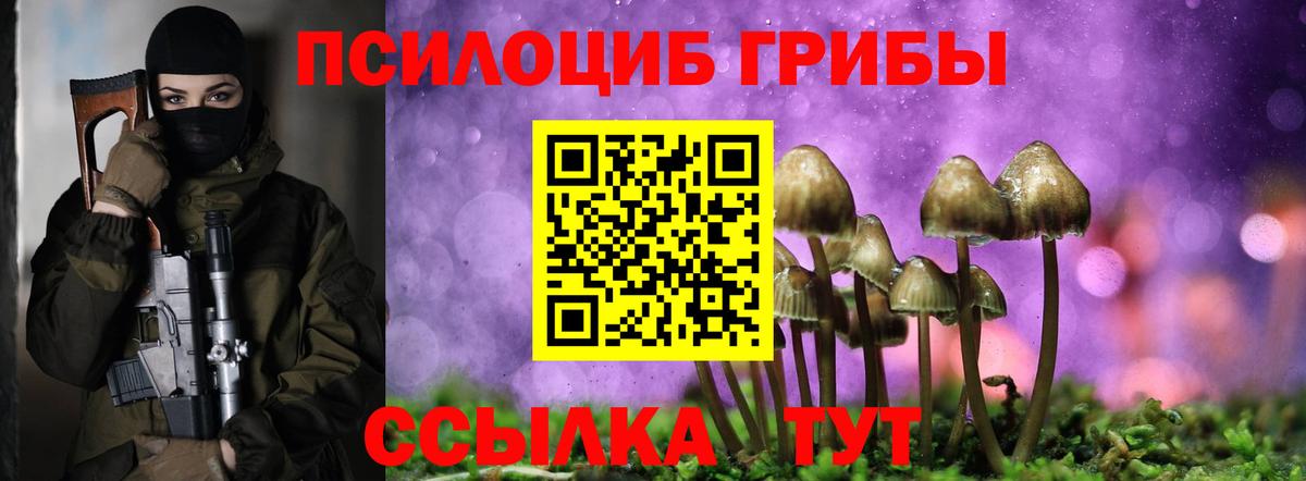 Галлюциногенные грибы мицелий  Псилоцибиновые грибы мухоморы  продажа наркотиков  Котлас  Вход с VPN 